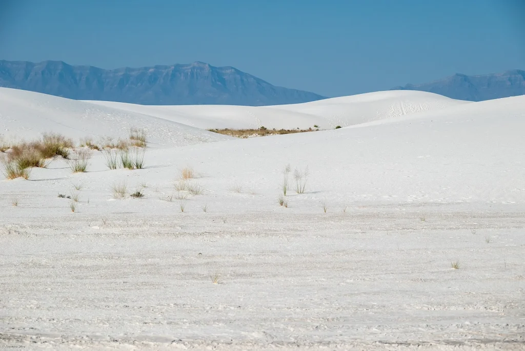 Visitors walk a boardwalk over white dunes where Ice Age families once crossed the lakeshore.